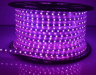 LED dây 5050 cuộn 100m màu tím 60led/m – Naluxa