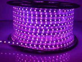 LED dây 5050 cuộn 100m màu tím 60led/m – Naluxa