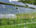 Ninh Thuận sẽ có DA điện mặt trời kết hợp sản xuất nông nghiệp