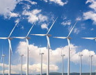 Việt Nam sẽ trở thành thị trường điện gió lớn nhất khu vực
